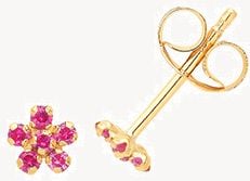Treasure House 9ct Yellow Gold Pink Cubic Zirconia Flower Stud Earrings ES718R
