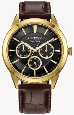 Citizen Men's Eco-Drive (40mm) Black Dial / Brown Leather Strap BU2112-06E
