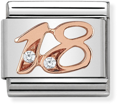 Nomination Classic 18 9ct Rose Gold & Steel Charm 430315/18