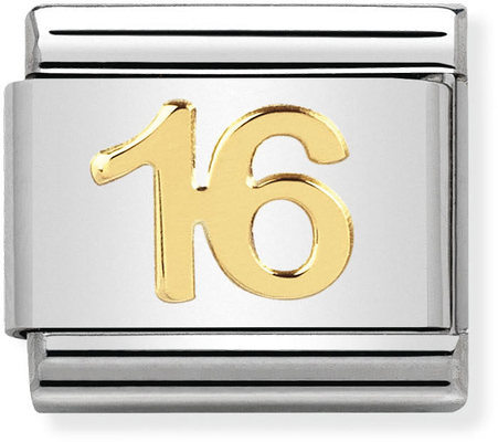 Nomination Classic 16 18ct Gold & Steel Charm 030109/35