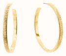 Calvin Klein Sophisticated Texture Hoop Earrings 35001011