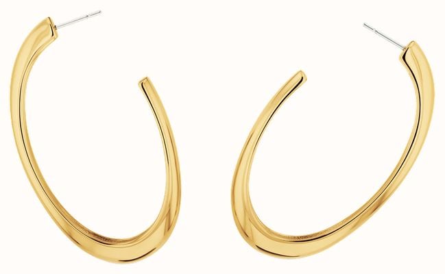 Calvin Klein Women's Modern Purity Hoop Earrings Gold 35000836