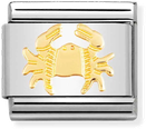 Nomination Classic Cancer 18ct Gold & Steel Charm 030104/04