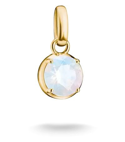 Thomas Sabo CC1334-M01-14 Charm Club Connect 18ct Yellow Jewellery