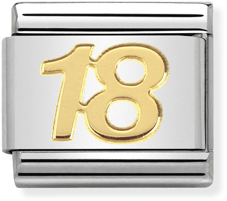 Nomination Classic 18 18ct Gold & Steel Charm 030109/34