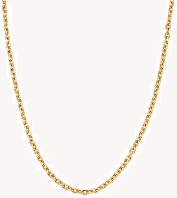ChloBo MAN Anchor Chain Necklace - Gold Plated GNANCHORM
