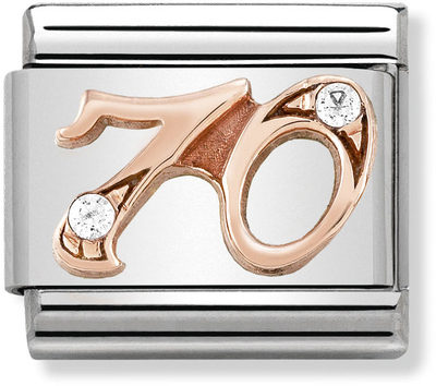 Nomination Classic 70 Charm Steel Zircon And 9ct Rose Gold Charm 430315/70
