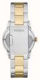 Fossil Townsman Big Tic 42 mm Two-Tone Stainless Steel Watch FS6193 - alternate view 4