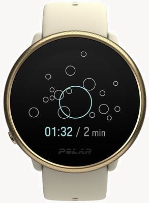 Polar Ignite 2 GPS Activity and HR Tracker Gold & Champagne (S-L) 90085185