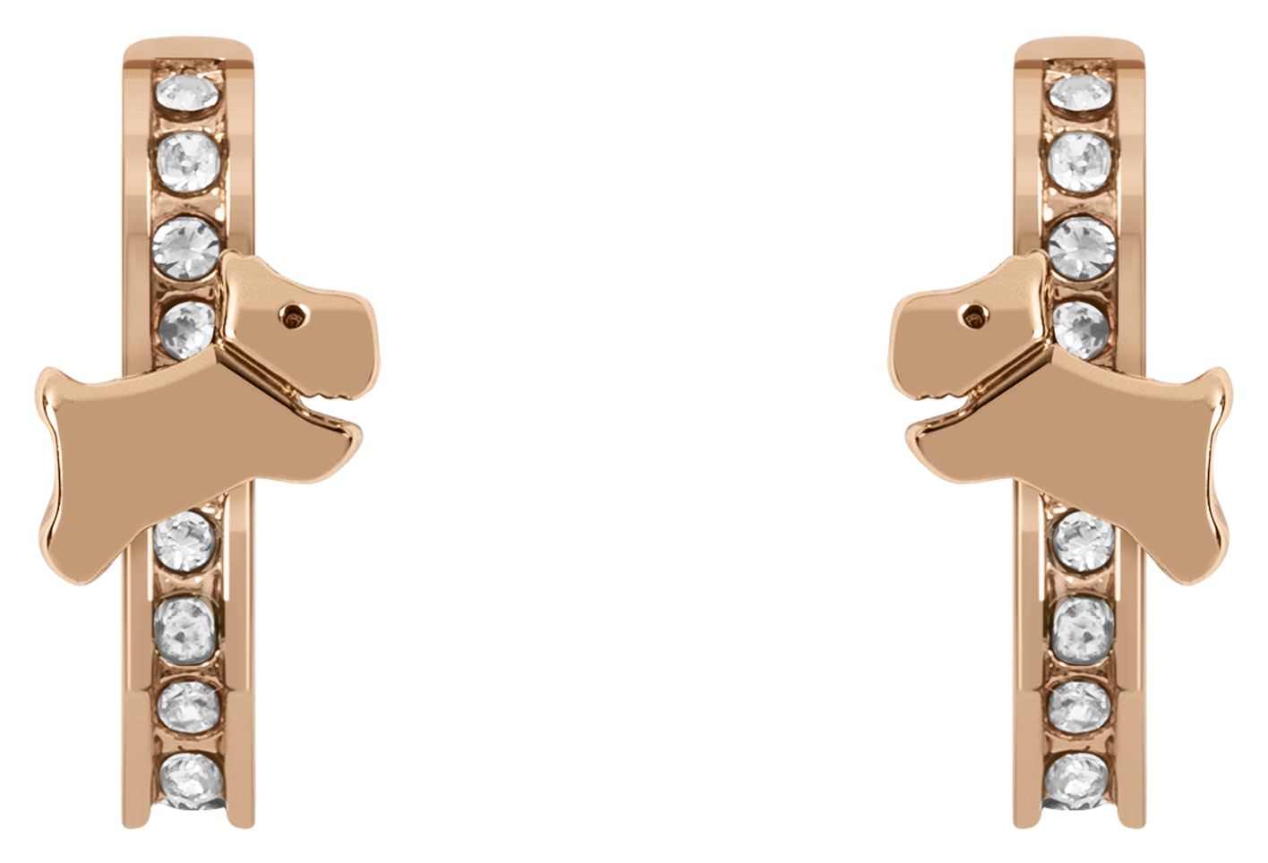 Radley Jewellery RYJ1290S Cuba Street | Stone Set Hoop