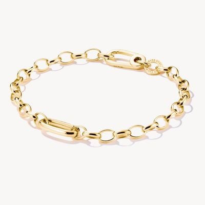 Thomas Sabo Gold-Plated Charm Bracelet with Connect Link 17cm C1202-413-39-L17