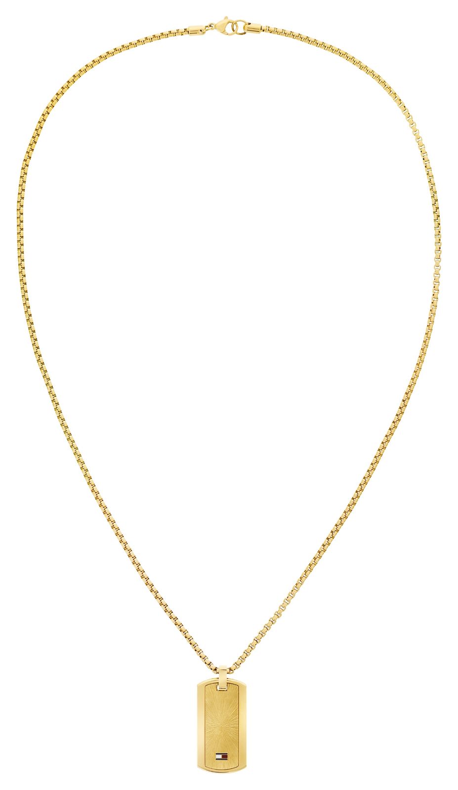 Tommy Hilfiger 2790628 Men’s Gold-Tone Stainless Steel Dog Jewellery