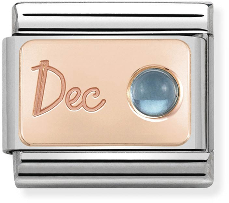 Nomination Classic December Birthstone Topaz 9ct Rose Gold & Steel Charm 430508/12