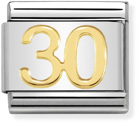 Nomination Classic 30 18ct Gold & Steel Charm 030109/40