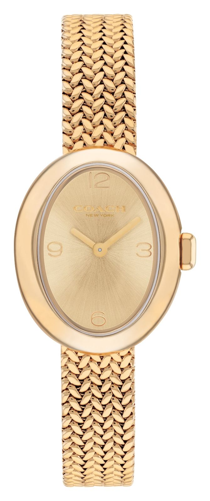 Coach 14504567 Women’s Sammy (22.5mm) Gold Sunray Dial / Watch