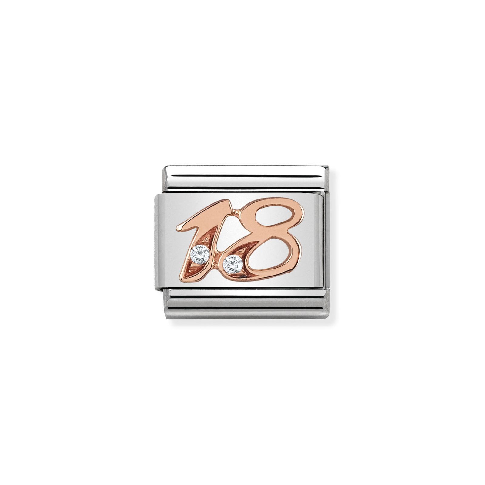 Nomination 430315/18 Classic 18 9ct Rose Gold & Steel Charm Jewellery