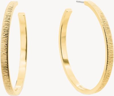 Calvin Klein Sophisticated Texture Hoop Earrings 35001011