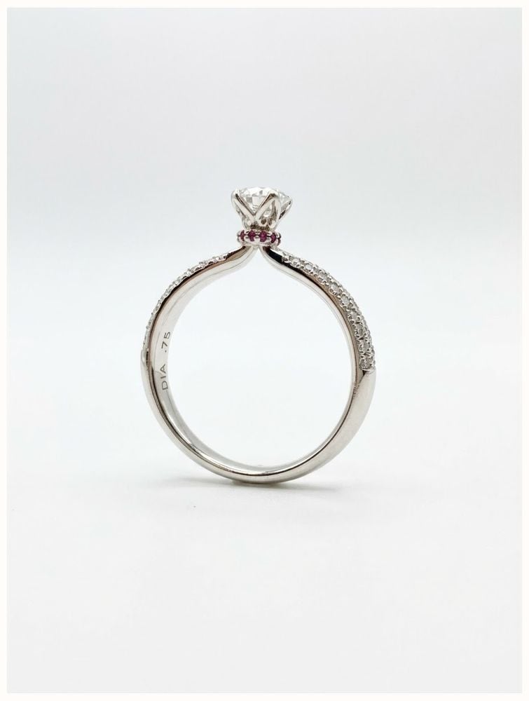 Bass Jewellery Round Brilliant Natural Diamond & Ruby 18ct White Gold Solitaire Pavé Ring J49103 - alternate view 3